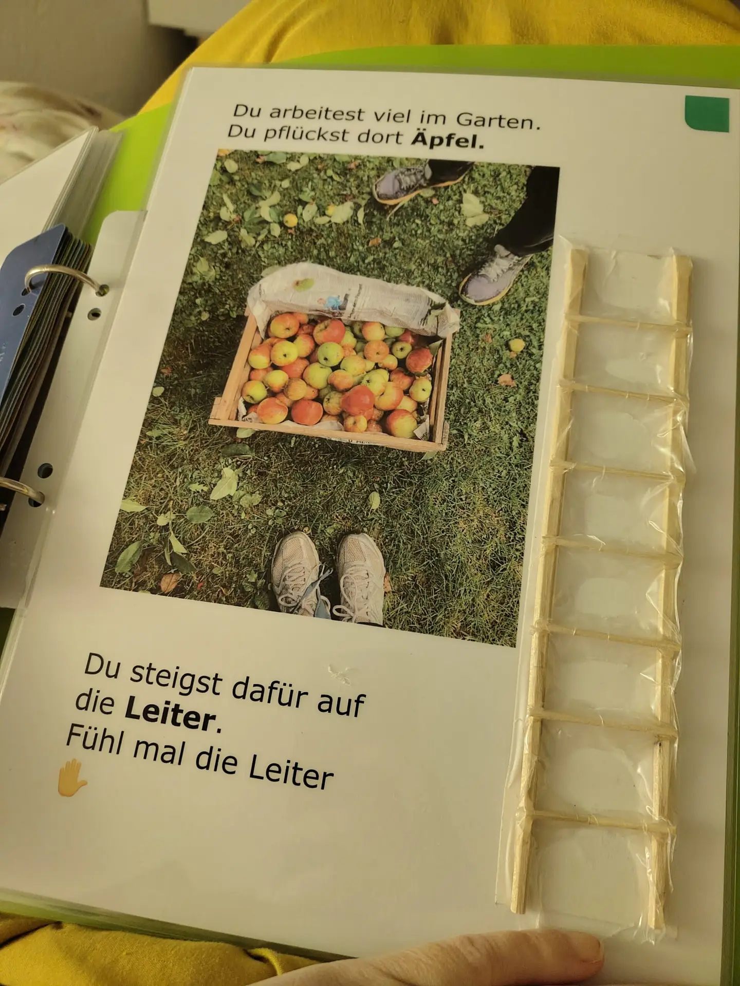 Fühlen und Sehen