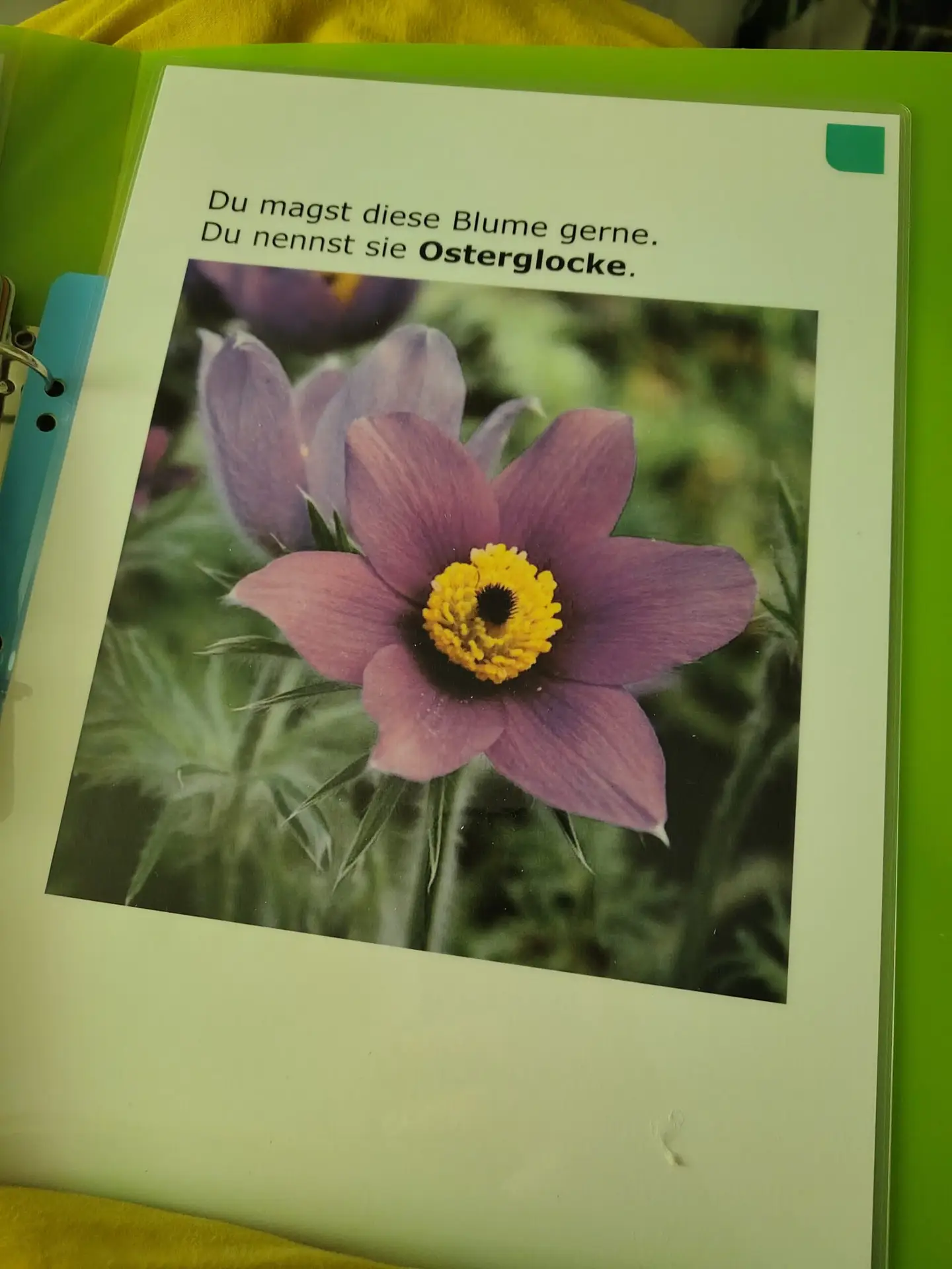 Fühlen und Sehen