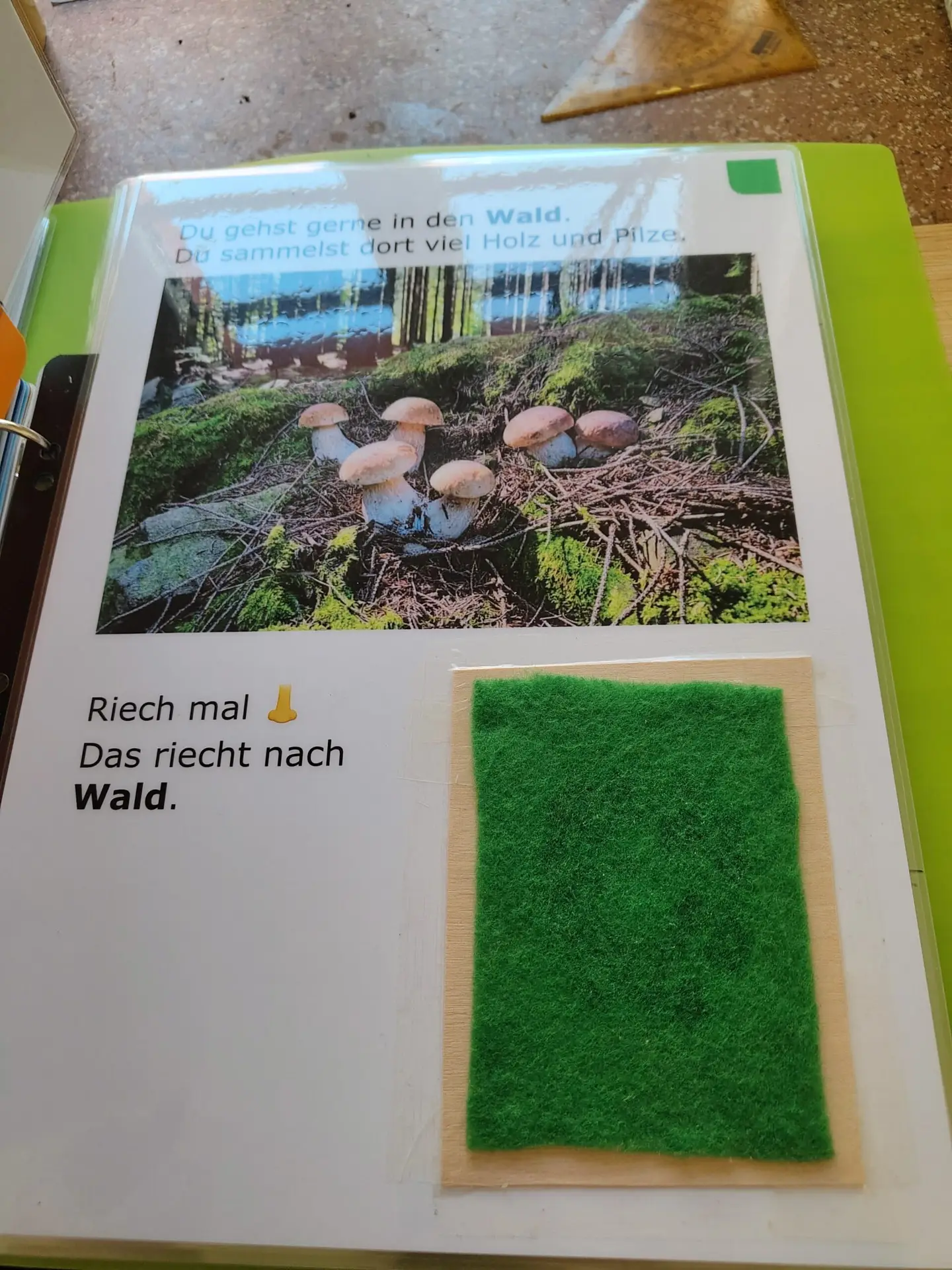 Riechen und Sehen